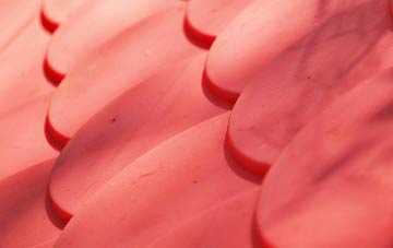 Burgedin plastic roof costs